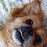 M G