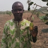 awoyemi owolabi