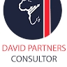 David Partners Consultor