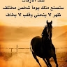 Mostafa Belarbi
