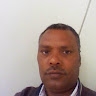 Terefe Fitta