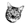 Gille de Bast