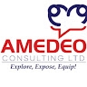 AMEDEO CONSULTING LTD