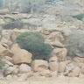 Djimtola Moustapha