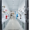 OIA TREASURES ART GALLERY