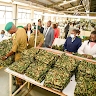 NYS Kenya