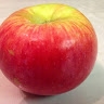 Apple Cider  