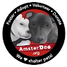 AmsterDog Rescue