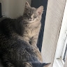 Queenbabe Aubeeluck