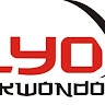 Ilyo Kosice