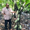 Peter Aikpokpodion