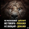 Зенит1996 Л