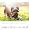 Світлана Станько