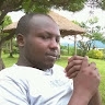 koima david
