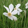 Tadeja Kotnik