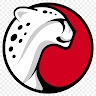 BestClipsHere  