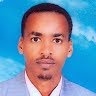 shifare berhe