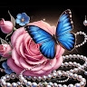 Donna Smalls
