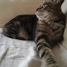 François  