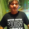 László Tóth