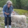 Nancy Commins