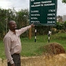bernard kinaga