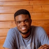 oluwaseun odegbaro