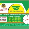 DELFIX  EXPRESS 