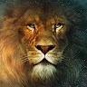 7z_Aslan-z7 z777z