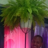 Davidstone Musembi