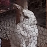 Jai Maurya