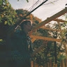 Noé Hourant
