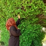 Husna Sadat