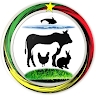 Ahmed belcasseme Sawadogo