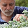 manolis petakas