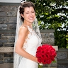 Cristina D'Averso Collins