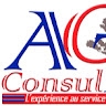 Act Consulting