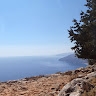 ΛΟΪΖΟΣ ΔΙΟΝΥΣΗΣ
