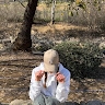 אביטל גפני
