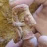 EFI PROTOPAPADAKI