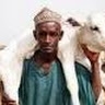 Ibrahim Parah