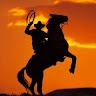 Cowboy  