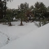 Al Ayoubi