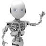 Conscious Robot