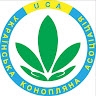 Cannabis Associated