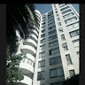 salomon arq