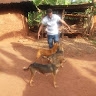 eric wanjohi