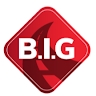 BIG INC  