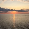 Dawn Ferro