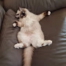 Kristinka Liker